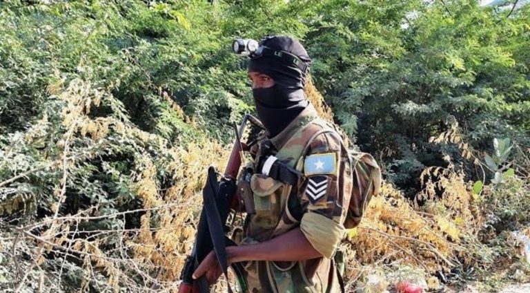 Federal Government of Somalia, U.S. struck al-Shabaab compound
