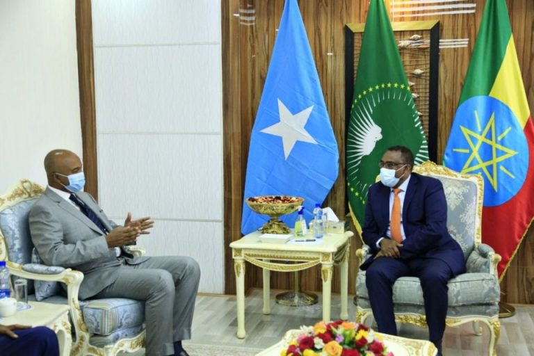 وزير الخارجية يبحث مع نائب رئيس الوزراء الإثيوبي تعزيز التعاون المشترك بين البلدين