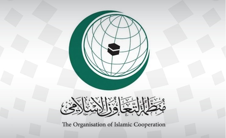 Saudi, Somali envoys discuss OIC cooperation