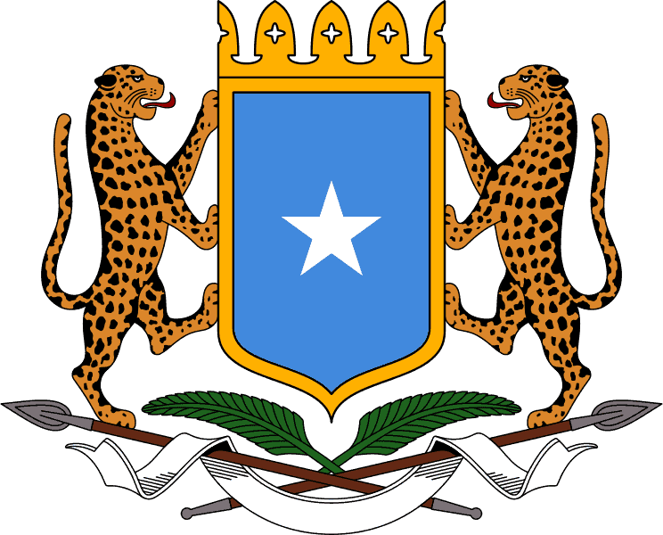 DFS oo cambaaraysay weerar Argagixiso oo ay kooxda Xuutiyiinta Yemen ku qaadeen Dalka Sacuudiga