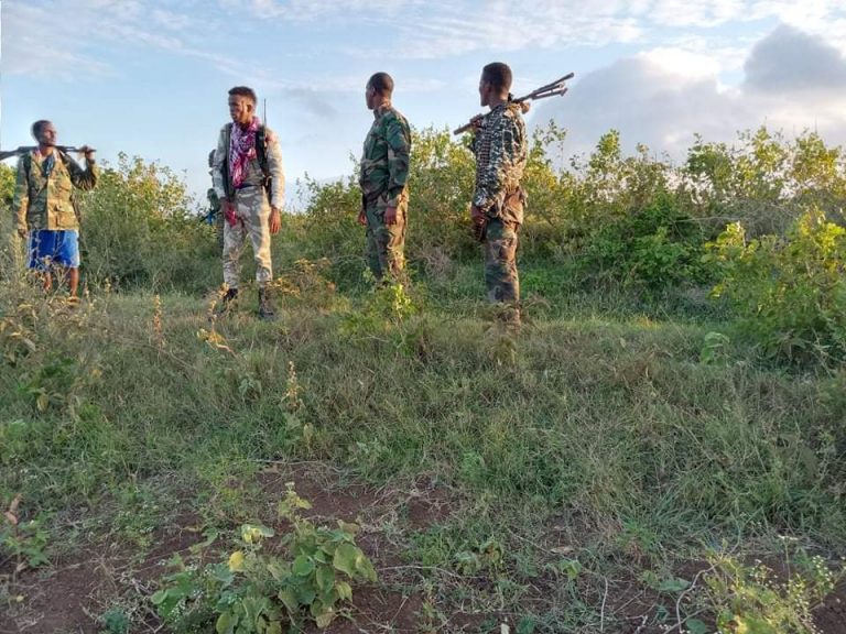 3 militants killed in central Somalia