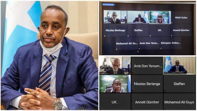 Somali PM holds virtual meeting with International Partners