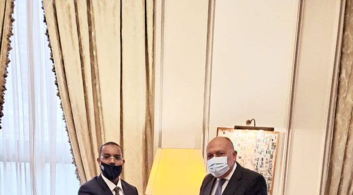 Wasiirka Arrimaha Dibada Masar oo aqoonsiga ka guddoomay Danjiraha cusub ee Soomaaliya dalkaasi u…