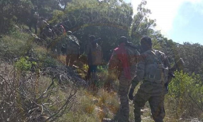 بونتلاند تعلن إحباط محاولة من حركة الشباب لشن على هجوم على قواعد قواتها