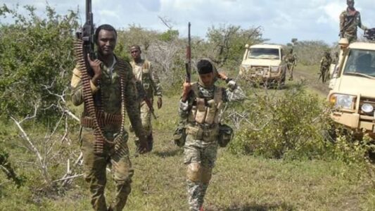 الجيش الصومالي يعلن اغتيال قياديين من حركة الشباب في إقليم شبيلي السفلى