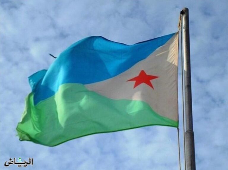 جبيوتي تدين بالشدة تعرض مصفاة الرياض لاعتداء إرهابي بطائرات مسيرة