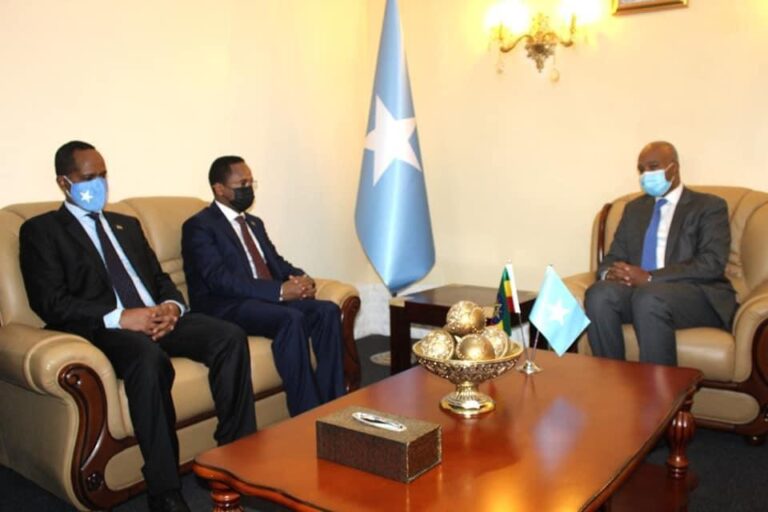 Foreign Minister receives a copy of the credentials of the new Ethiopian ambassador to Somalia