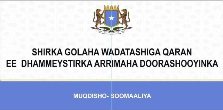 The Electoral Consultative Council meeting opens in Afisyoni.