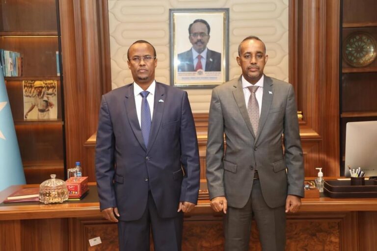 Hirshabelle State President attends consultative talks via zoom