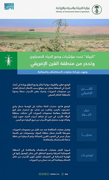 وزارة البيئة السعودية تحذر من خطورة وضع الجراد الصحراوي في منطقة القرن الأفريقي