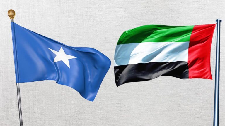 تعاون بين الإمارات والصومال وبنغلادش لمواجهة غسل الأموال