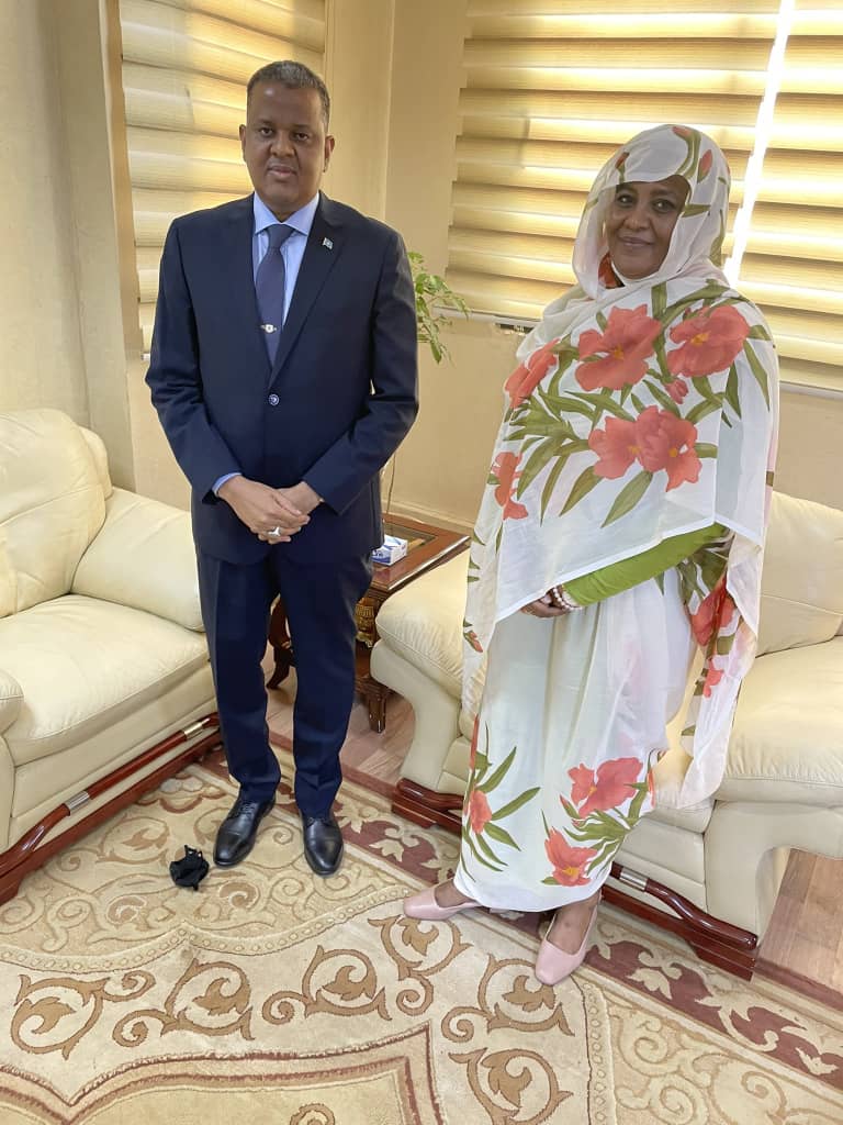 سفير الجمهورية لدى الخرطوم يلتقي وزيرة خارجية جمهورية السودان