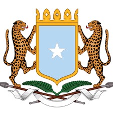 The Federal Government of Somalia (FGS) strongly condemns the continual Kenyan airstrikes that kill…