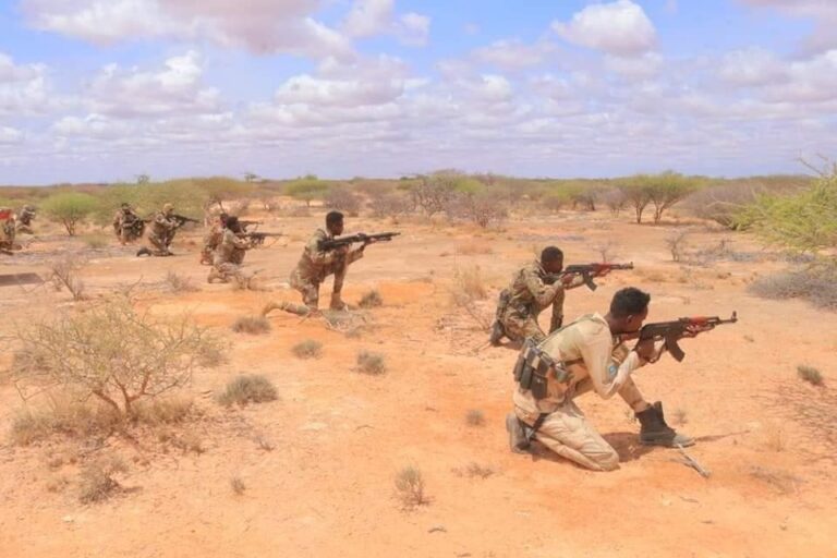 Somali National Army kills 15 terrorist fighters in Galgudud region