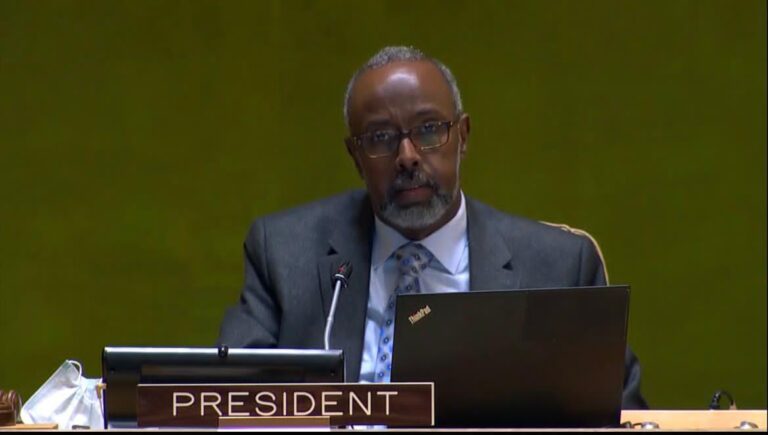 Somalia chairs UNGA session on COVID-19 respond measures