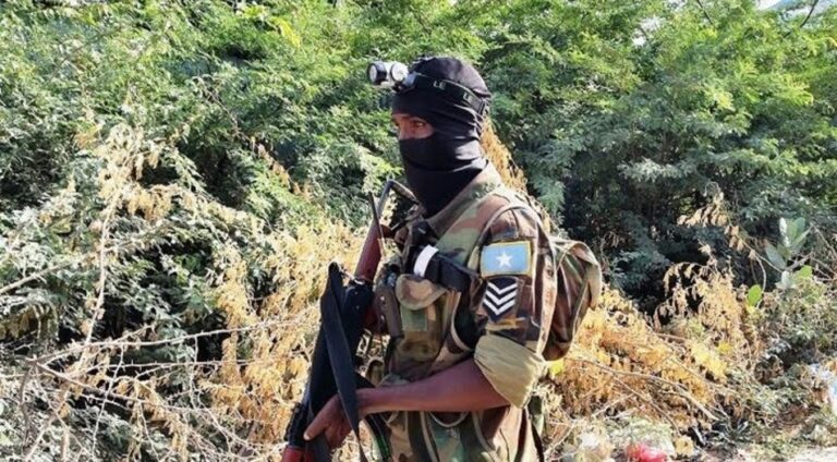 15 terrorist militants killed in special operation