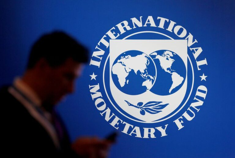 Rich nations should put $30 bln of IMF cash towards Africa investments – African ministers