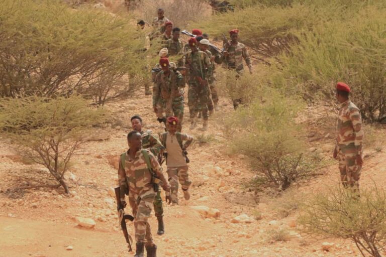 SNA forces kill 15 Al-Shabaab militants near Bulaburte town