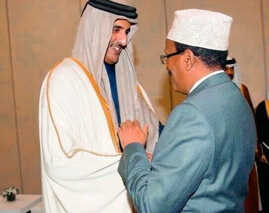 رئيس الجمهورية يتبادل التهاني مع أمير دولة قطر بمناسبة عيد الأضحى المبارك