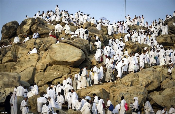 حجاج بيت الله الحرام يقفون بصعيد عرفات لأداء ركن الحج الأعظم
