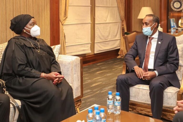 Somali PM meets Kenyan Foreign Minister in Mogadishu