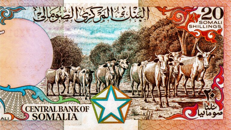 البنك المركزي الصومالي يطلق نظام دفع جديد ويكشف عن خطط لطباعة عملات ورقية جديدة من الشلن