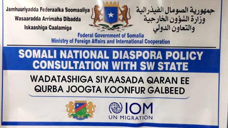 Foreign Minister commends consultations on Somali national diaspora Policy