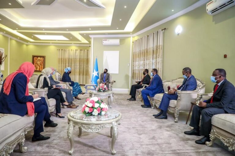 وفد أممي رفيع يجري مباحثات مع الرئيس فرماجو