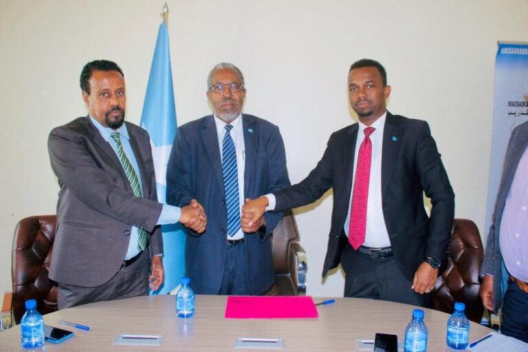Veteran Diplomat Runs Office of Somali Foreign Minister