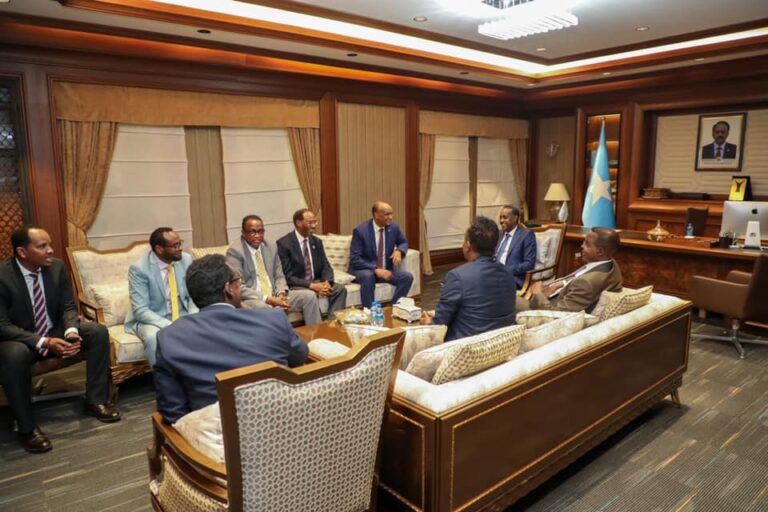 رئيس الوزراء يرحب بوفد الحكومة الفيدرالية المكلف بالقضية البحرية