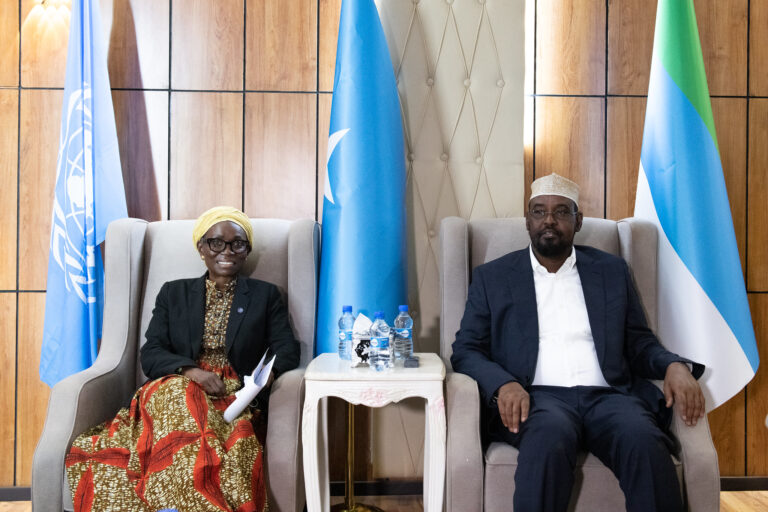 UN Deputy Special Representative welcomes announcement on women’s representation for remaining Upper…