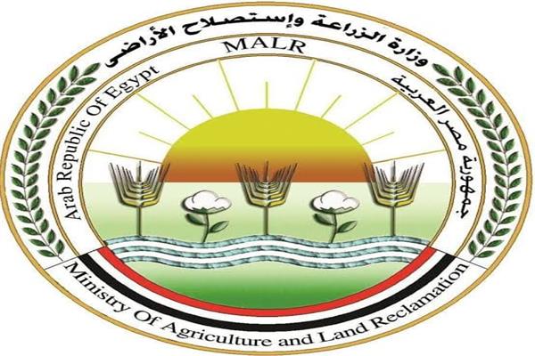 وزارة الزراعة المصرية تنفي استيراد شحنات موز فاسدة من الصومال