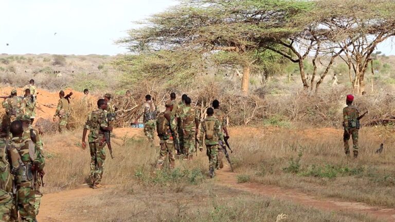 الجيش الوطني يقتل عنصرين من مليشيات الشباب الإرهابية