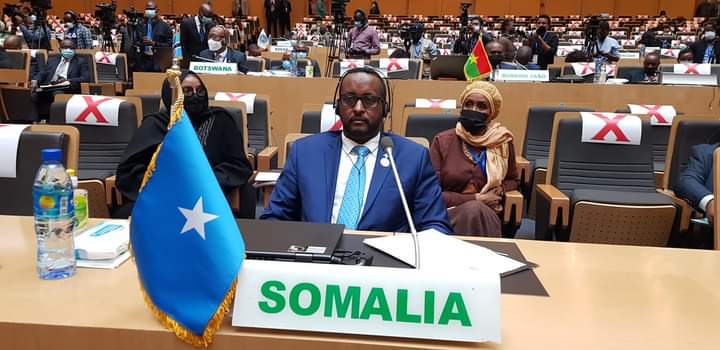 State Minister for Foreign Affairs calls for building an African food system capable of facing…