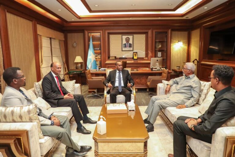Somali PM meets DP, former speaker of the Upper House of the Parliament
