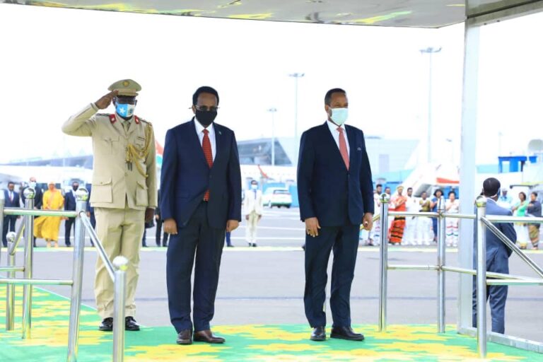 President Farmajo attends the inauguration of Ethiopian new Government