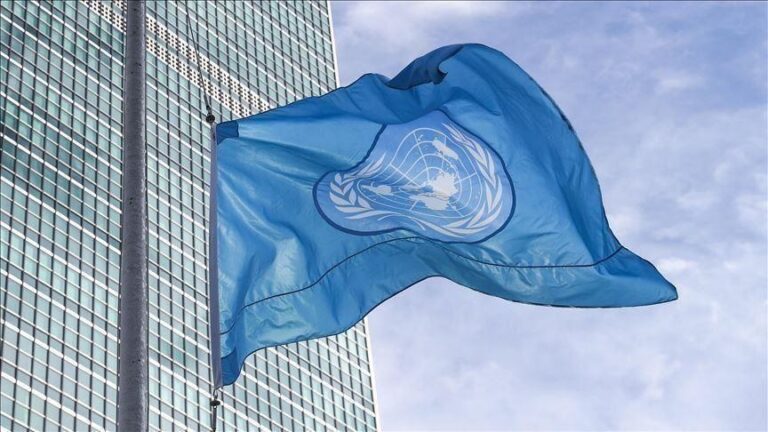 الأمم المتحدة تعين خبيرا لحقوق الإنسان في السودان