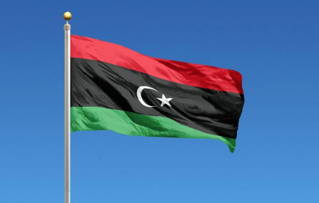 ليبيا.. ترحيل 163 مهاجرا غير شرعي إلى بلادهم طواعية