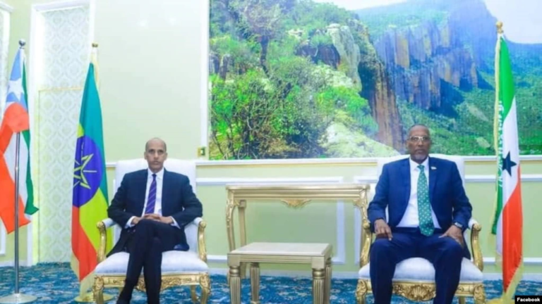 رئيسا أرض الصومال والإدارة الصومالية في إثيوبيا يناقشان قضايا الأمن والتجارة