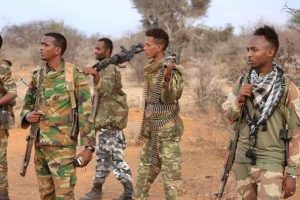 الجيش الوطني يستعيد السيطرة على منطقة “تولو برواقو” بإقليم غدو