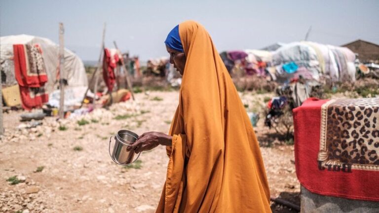 Egypt explores water projects with Somalia
