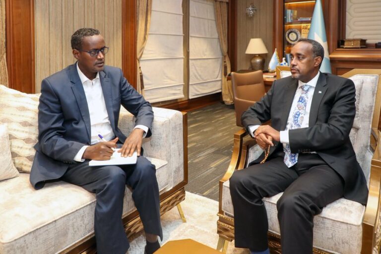 Somali PM meets electoral team leader, discusses on speeding up elections