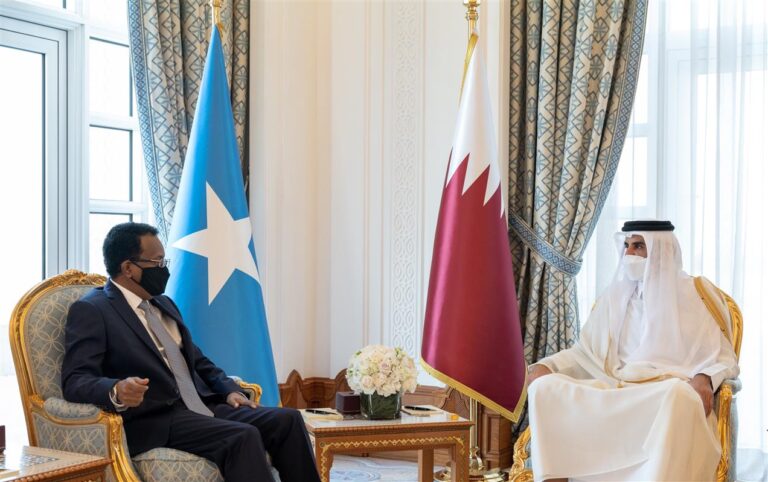 Qatari Amir meets President of Somalia