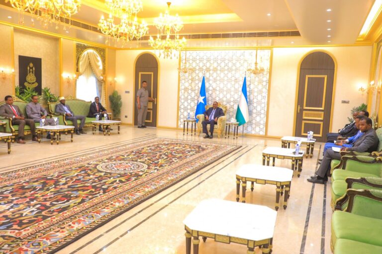 رئيس ولاية بونتلاند يلتقي أعضاء من اللجنة الانتخابية الفيدرالية في غروي