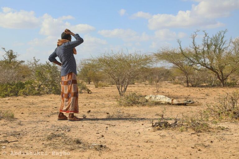 UN warns food insecurity to worsen in Somalia by May 2022