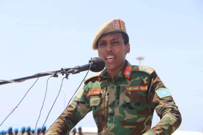 Commander of the SNA warns the armed forces against meddling in politics
