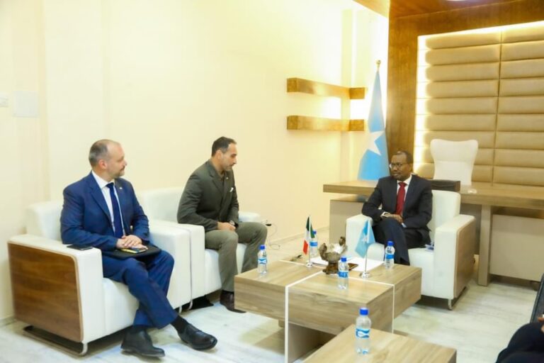 القائم بأعمال وزير الخارجية الصومالي يستقبل السفير الإيطالي لدى بلاده