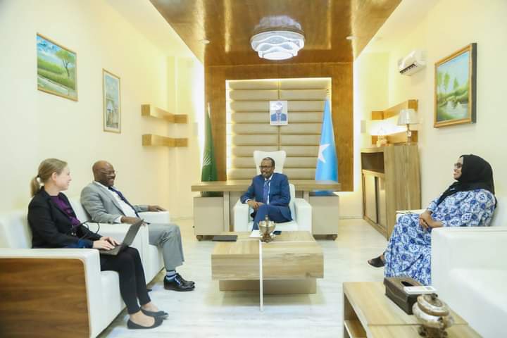 Foreign Minister discusses joint humanitarian action with the UN Deputy Representative to Somalia