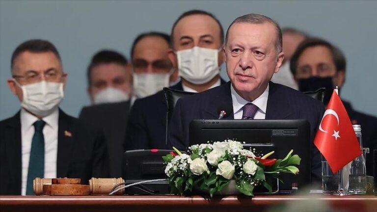 African absence at UN Security Council is ‘great injustice,’ says Turkish president