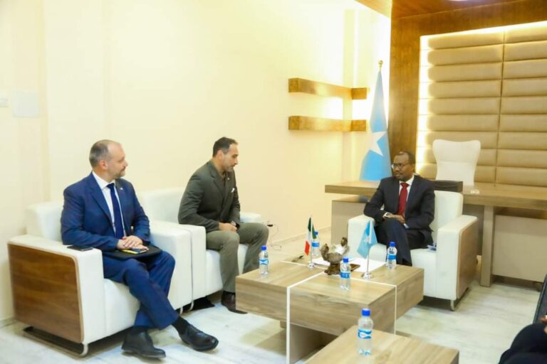 وزير الخارجية يبحث مع السفير الإيطالي سبل تعزيز التعاون المشترك